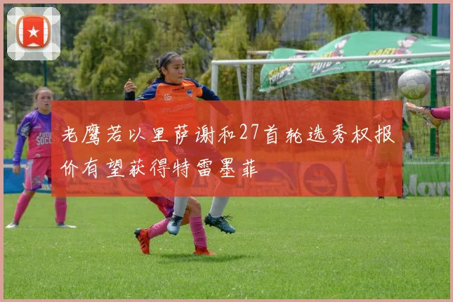 老鹰若以里萨谢和27首轮选秀权报价有望获得特雷墨菲