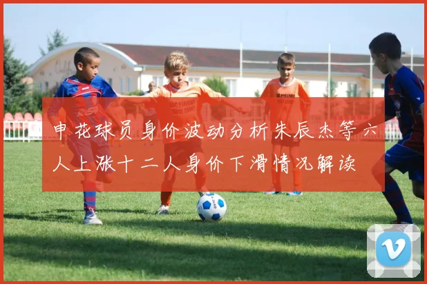 申花球员身价波动分析朱辰杰等六人上涨十二人身价下滑情况解读