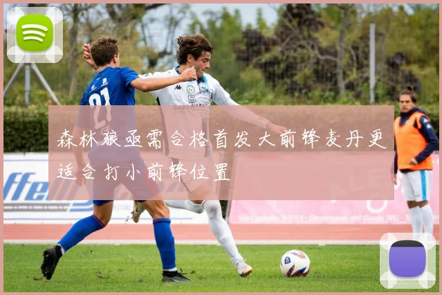 森林狼亟需合格首发大前锋麦丹更适合打小前锋位置