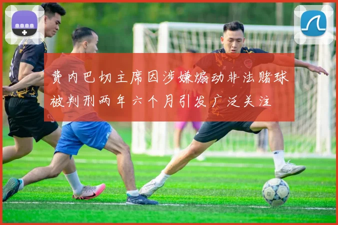 费内巴切主席因涉嫌煽动非法赌球被判刑两年六个月引发广泛关注