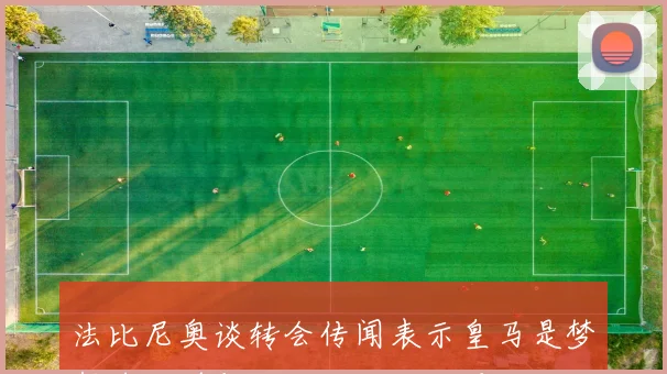 法比尼奥谈转会传闻表示皇马是梦想球队并与经纪人深入沟通