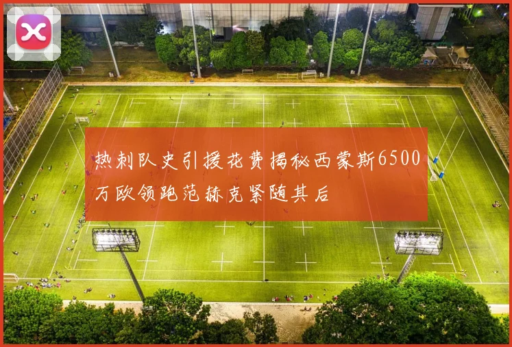 热刺队史引援花费揭秘西蒙斯6500万欧领跑范赫克紧随其后